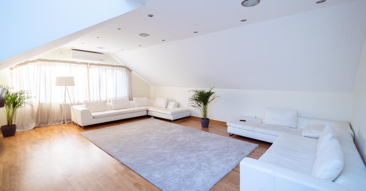 Light, Bright, and Soft Underfoot: How to Pick the Perfect Wool Rug for a Sunlit Living Room