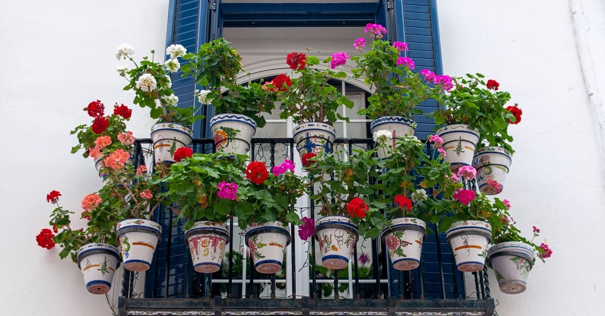 Balcony Bliss for Beginners: Foolproof Layouts That Turn Tiny Spaces into Lush Retreats