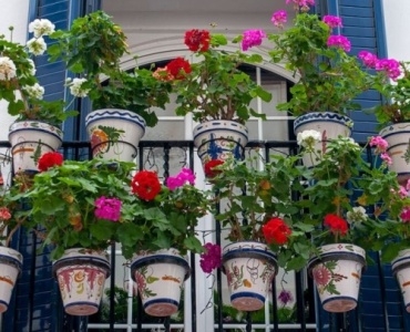 Balcony Bliss for Beginners: Foolproof Layouts That Turn Tiny Spaces into Lush Retreats