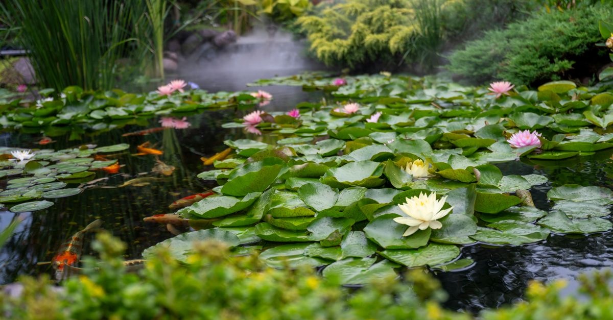 From Sketch to Splash: Your Guide to a Garden Pond with a Central Showpiece Fountain