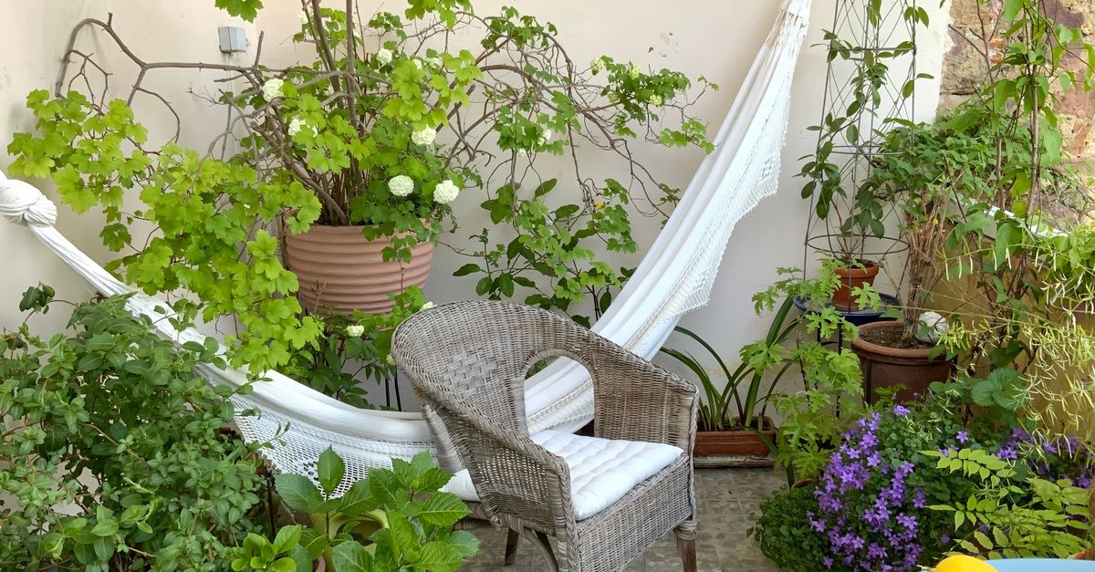 From Gloom to Bloom: Stunning Balcony Container Plants That Thrive in the Shade