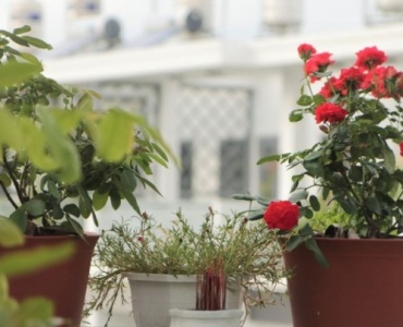 Turn Your Balcony into a Self-Watering Oasis: An Easy Weekend DIY Irrigation Project