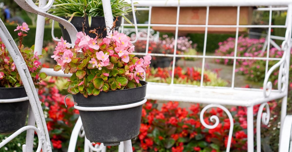 From Pipe to Petals: Craft Chic PVC Plant Stands in an Afternoon